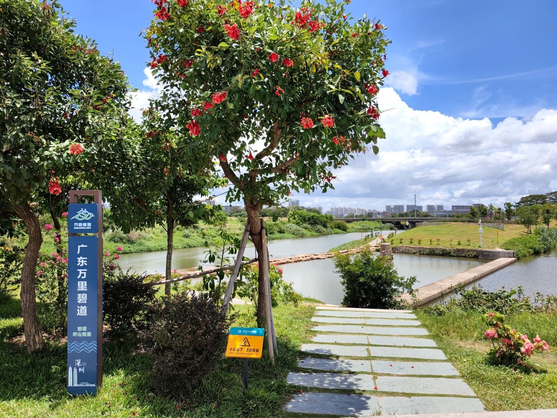 廣東萬里碧道坪山段,是坪山河自然博物長廊的核心,自深圳自然博物館起,沿河串聯濕地、老河道與石溪河,騎行徒步皆宜,如穿梭「綠野仙蹤」。(圖片來源:視覺中國)
