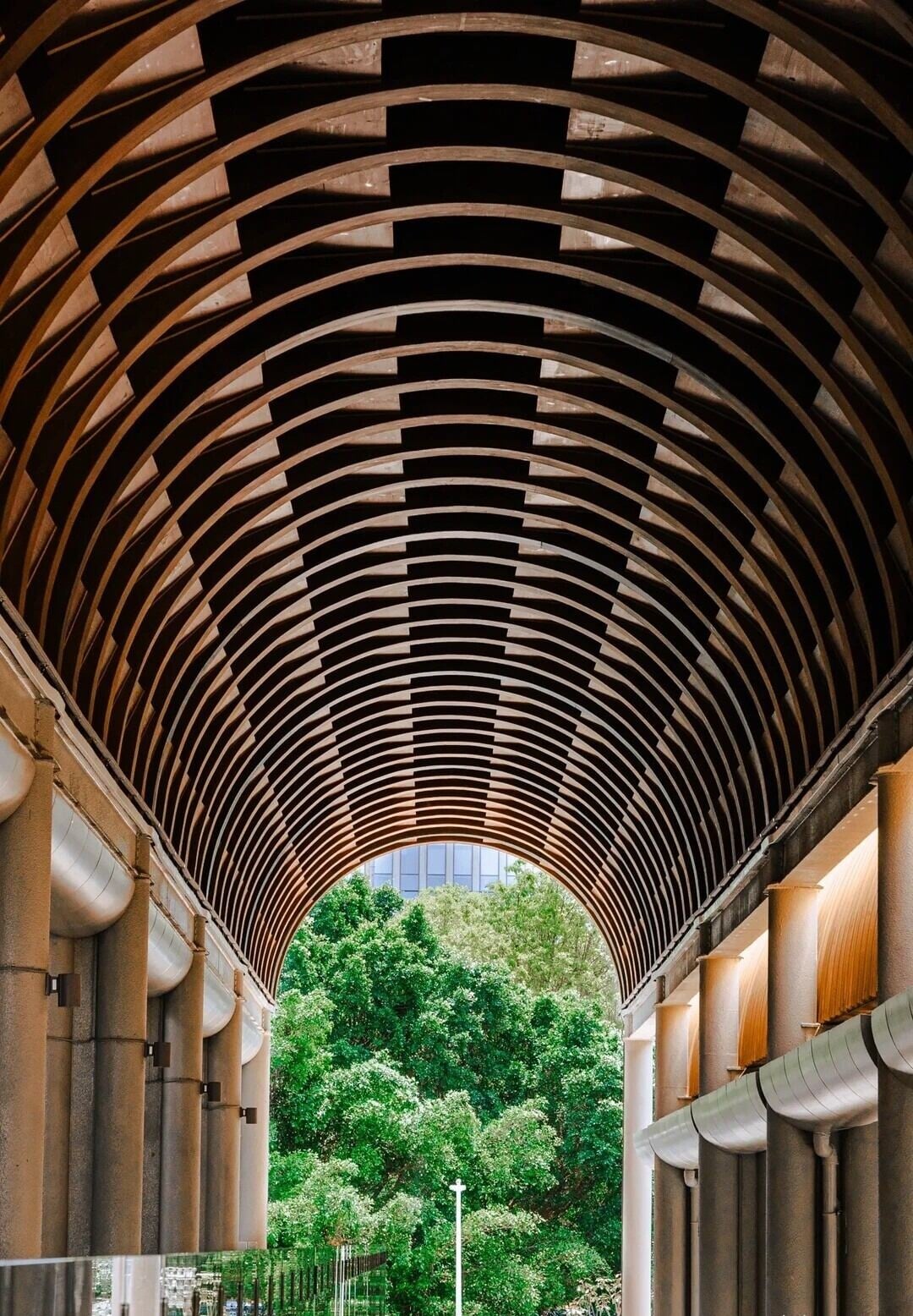 拱廊採用裝配式鋼木組合結構建造,層層排列的拱頂向遠方延伸,陽光透過木構間隙灑落,在地面形成流動光影,自2024年落成以來已成為打卡熱點。(網上圖片)