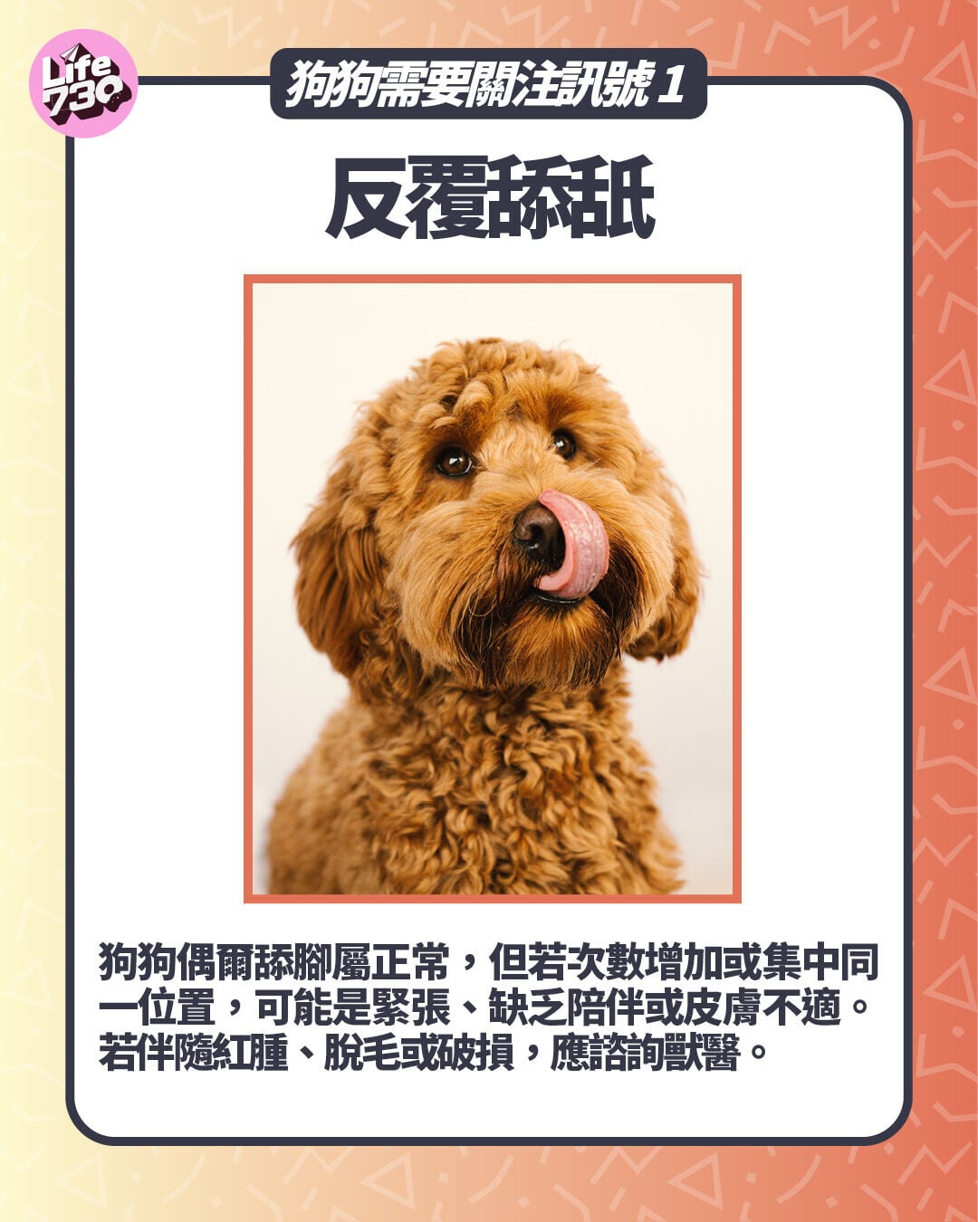 狗狗需要關注訊號1. 反覆舔舐