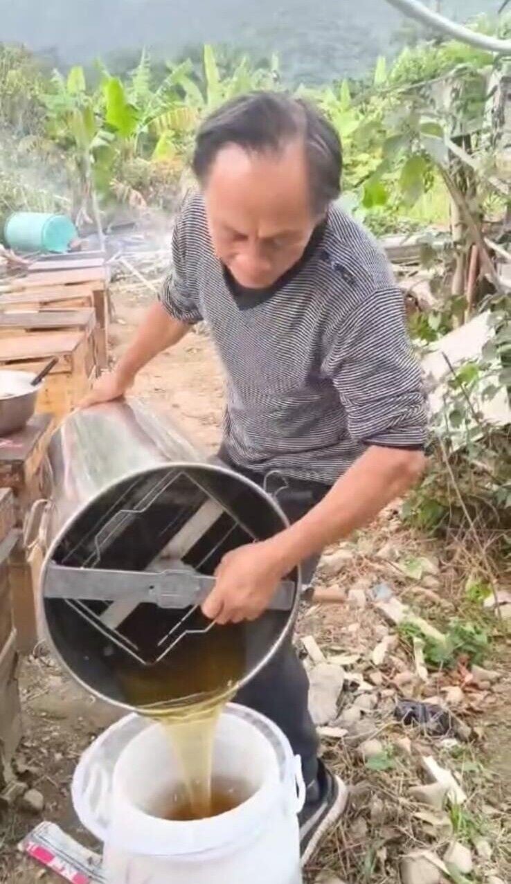 Bee farmer