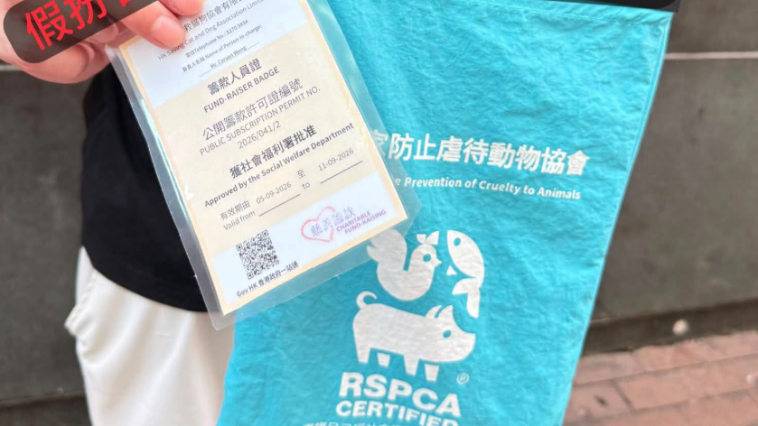 螢幕擷取畫面 2026 09 06 173246