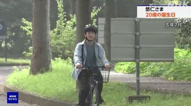 日本悠仁親王