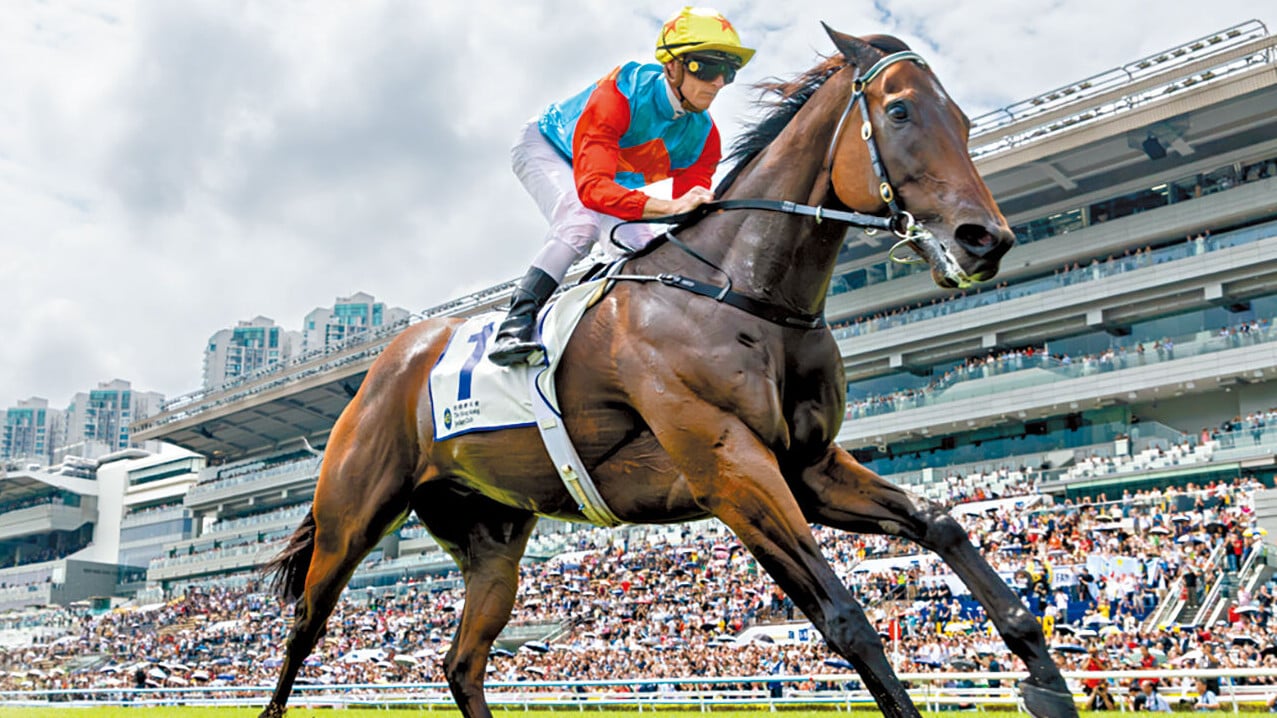特首盃由馬王嘉應高昇以跨季21連勝破紀錄姿態奪冠。