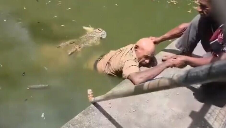 飼養員被鱷魚拖落水，腿被吃掉仍未脫困慨嘆：我無做錯事。(X)