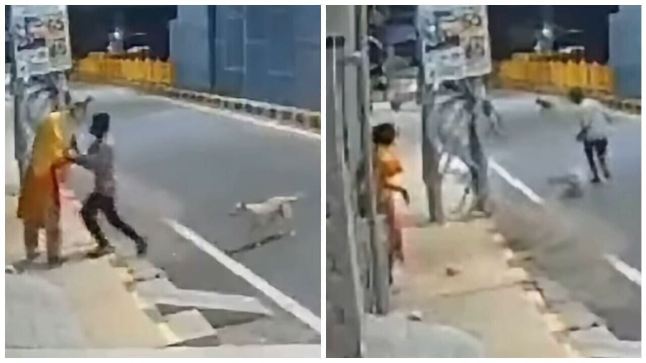男子當街企圖性侵女子，被流浪犬又吠又撲逼退。(X)