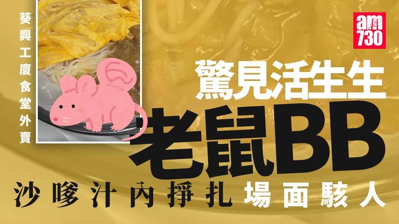 葵興工廈食堂外賣「贈送」生勾勾老鼠B　食客大驚報食環