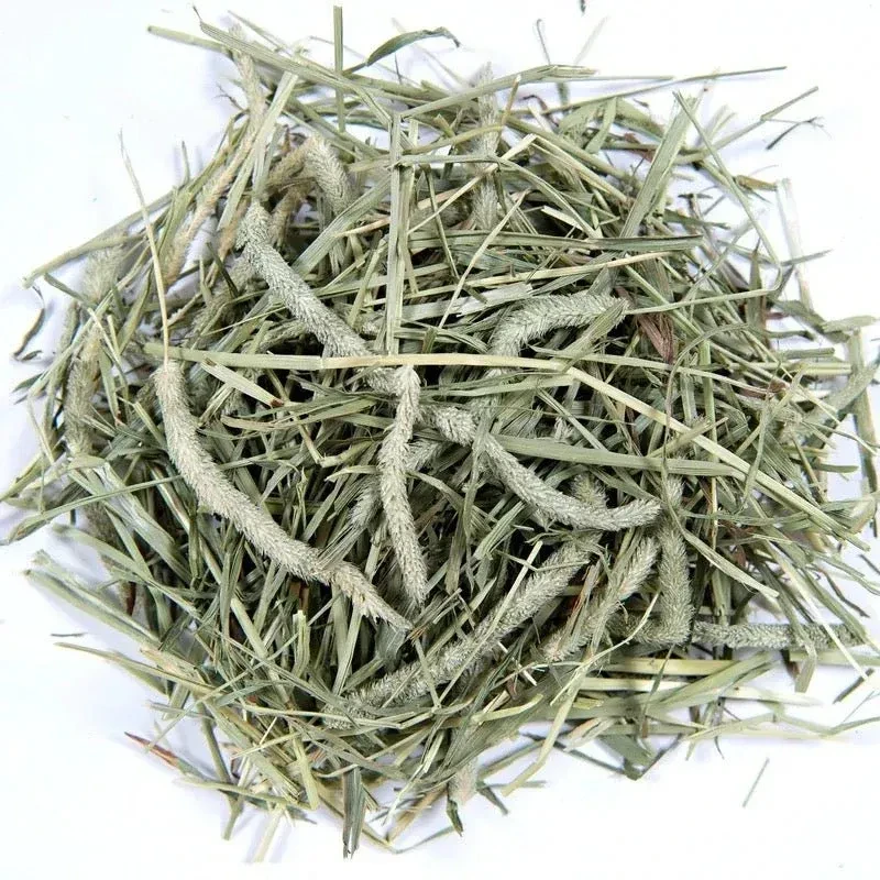 Sps 1st cut timothy hay 10lbssmall pet select 2560719