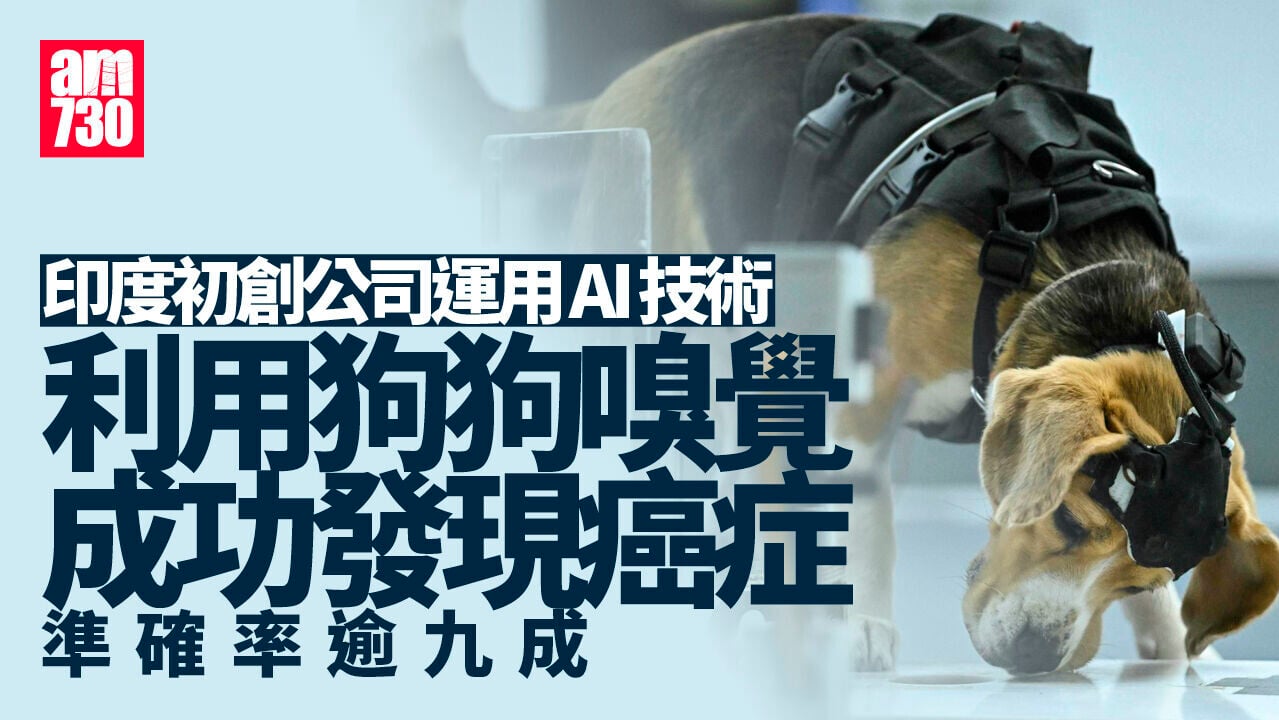 狗狗嗅覺成發現癌症利器 印度初創公司結合AI技術助揪出7種癌症 準確率逾9成