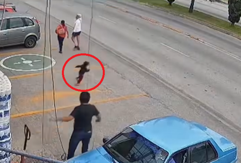 墨西哥幼童突跑出馬路私家車駛至 超市員工英勇滾地救人(有片)