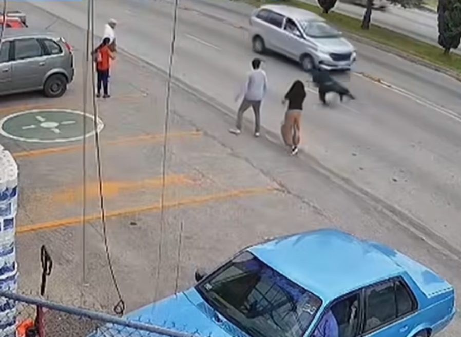 墨西哥幼童突跑出馬路私家車駛至 超市員工英勇滾地救人(有片)