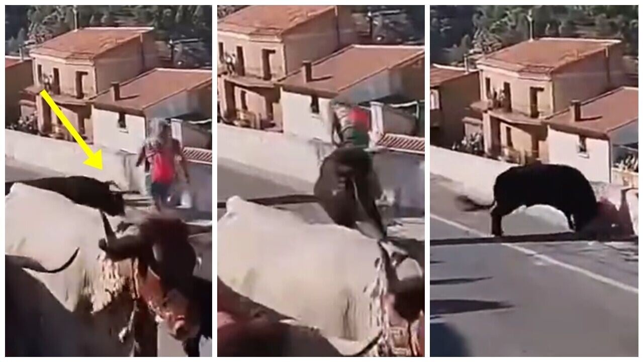西班牙奔牛節婦人閃避不及，遭公牛猛撞而死。(X)