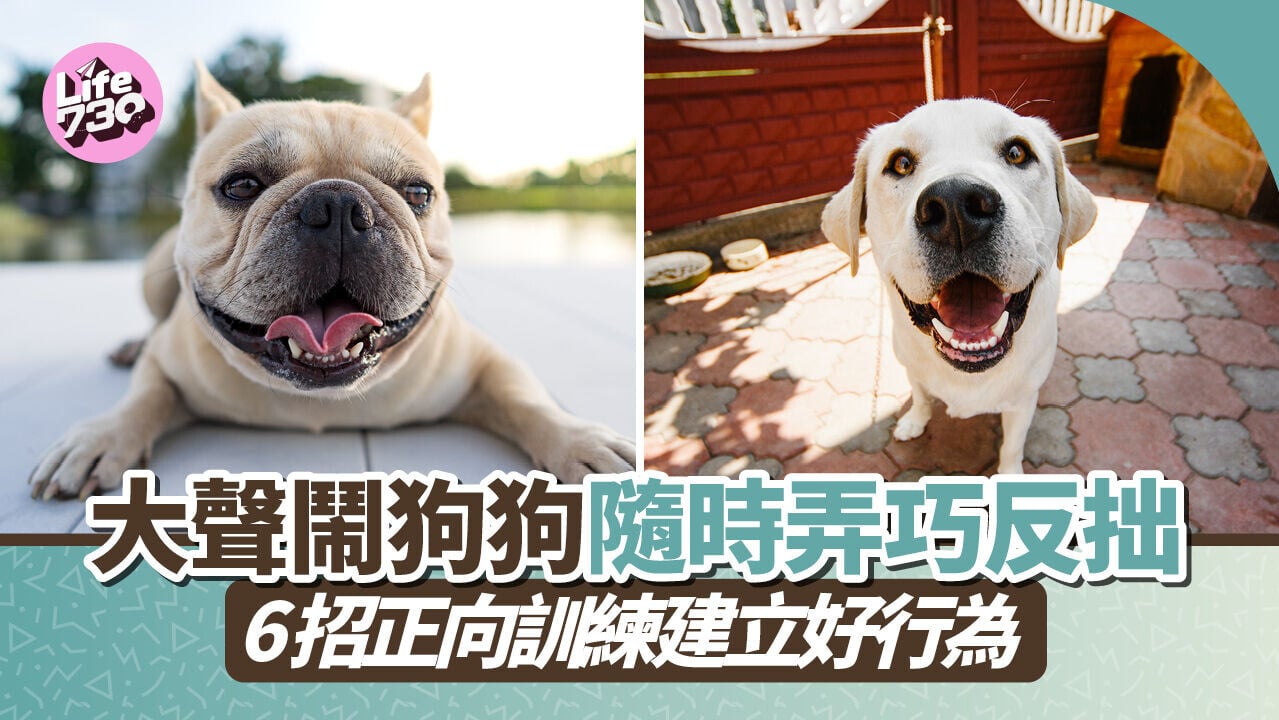 大聲鬧狗狗隨時弄巧反拙　6招正向訓練建立好行為