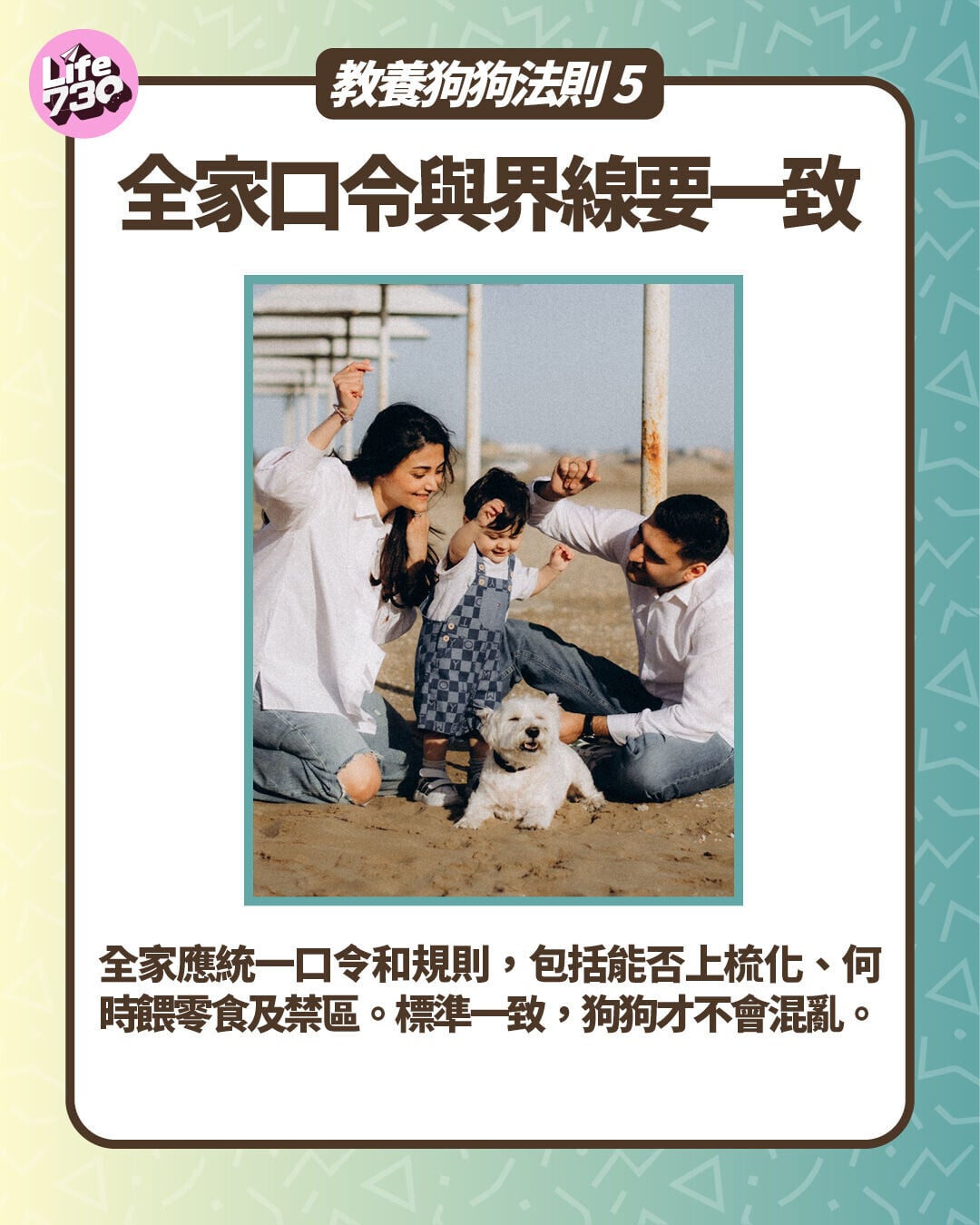 教養狗狗法則5:全家口令與界線要一致