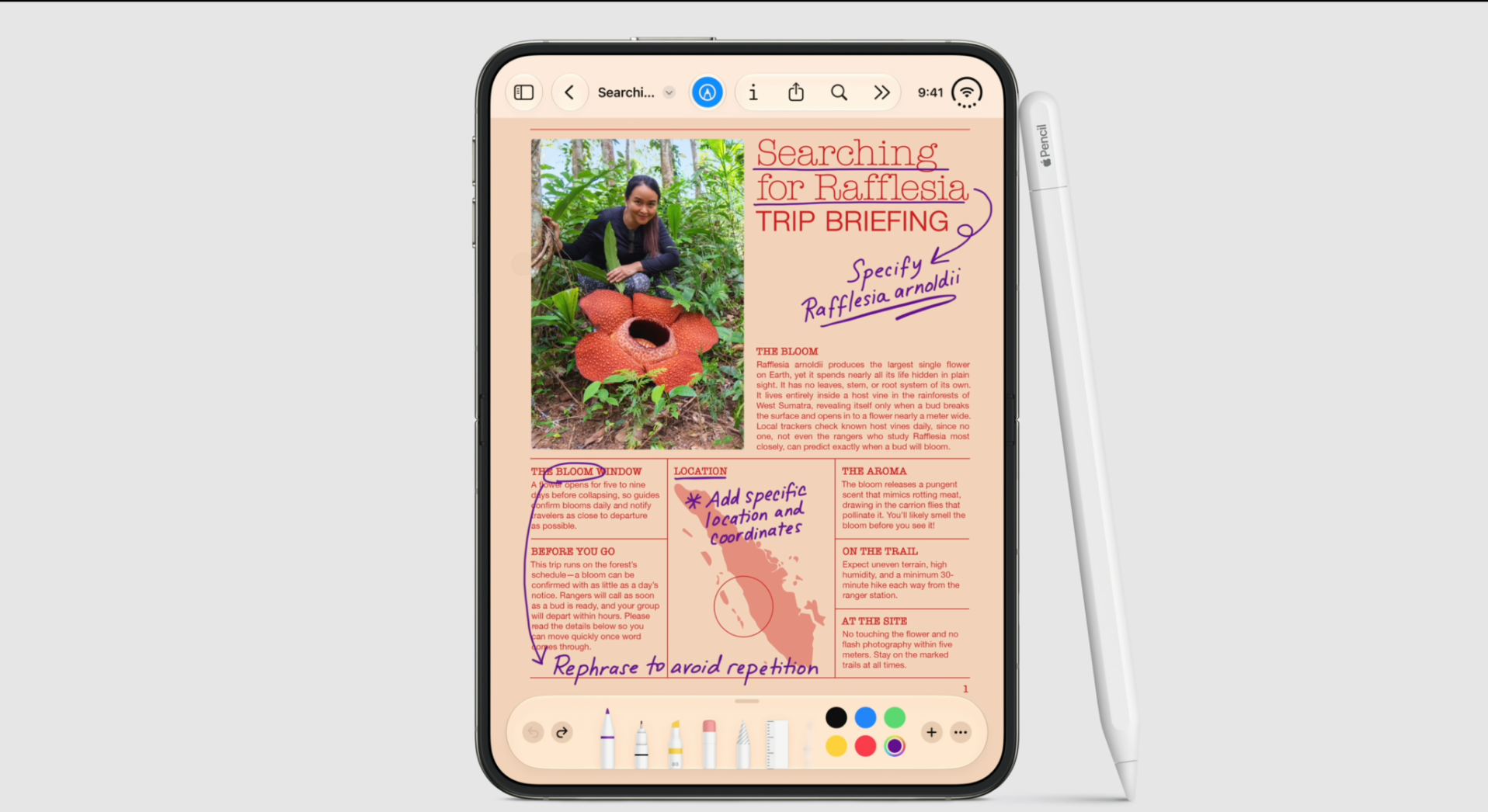 iPhone Duo支援Apple Pencil。
