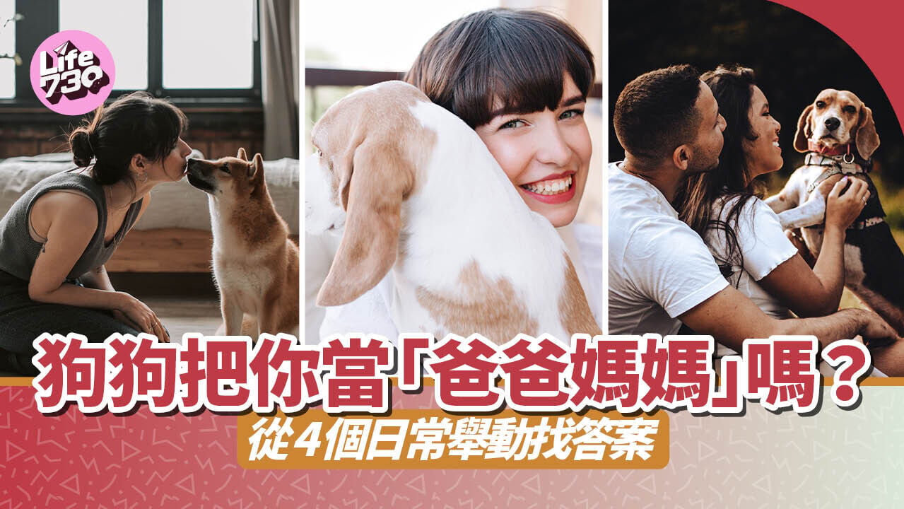 狗狗把你當「爸爸媽媽」嗎？從4個日常舉動找答案