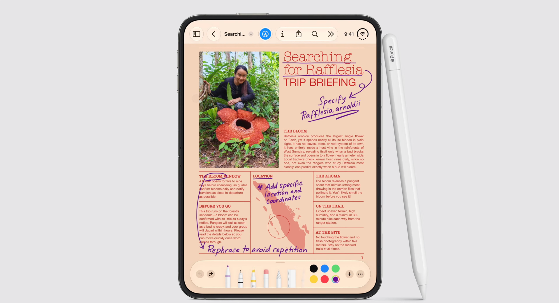 iPhone Duo將支援Apple Pencil觸控筆,但未有詳細示範。