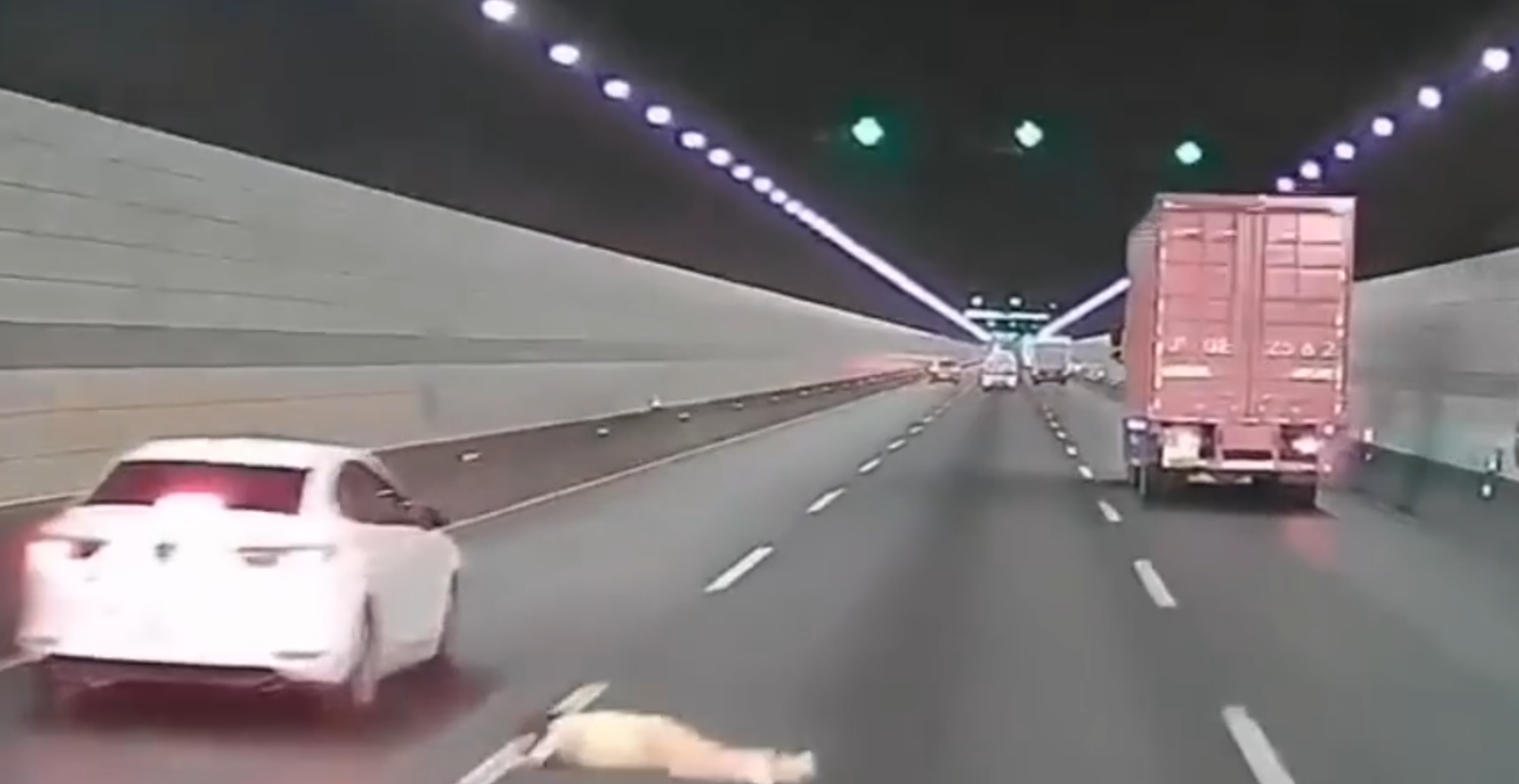浙江錢江隧道一輛私家車在隧道內行駛期間,副駕駛座一名女子突然爬出車窗,站上車頂後突跳下,鄰線後方一輛大型貨車緊急避讓。(影片截圖)