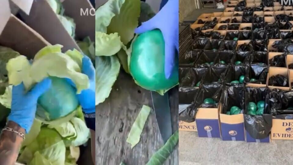 美國墨西哥邊境查獲大批毒品　借椰菜走私2000磅冰毒