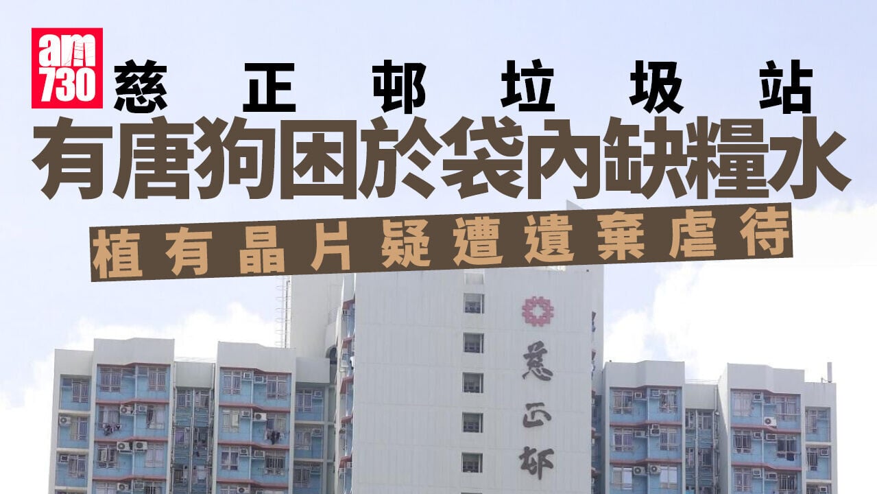 慈正邨垃圾站發現唐狗被裝袋缺糧水被困　警方追查主理下落