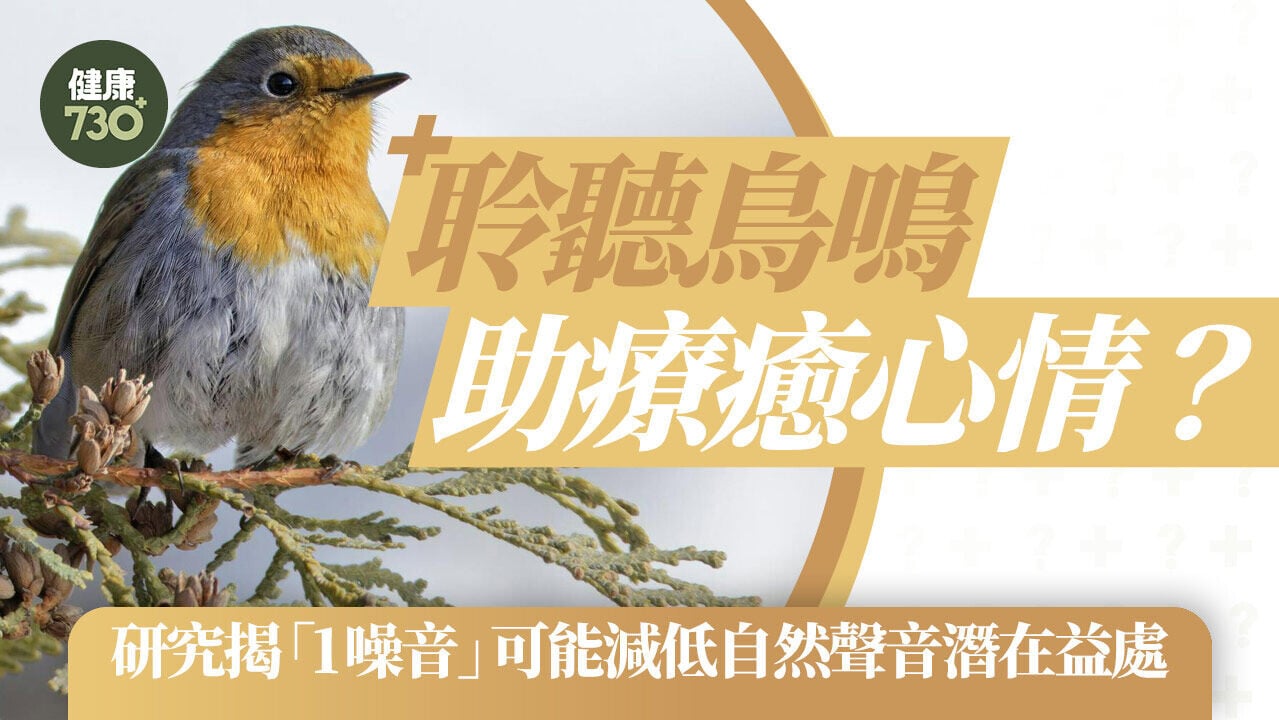 聆聽鳥鳴助療癒心情？研究揭「1噪音」可能減低自然聲音潛在益處