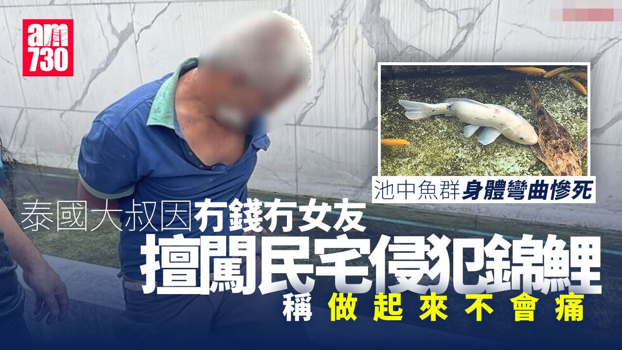 稱無錢找女伴　大叔擅闖民宅性侵錦鯉　可憐魚變S形慘死(有片)