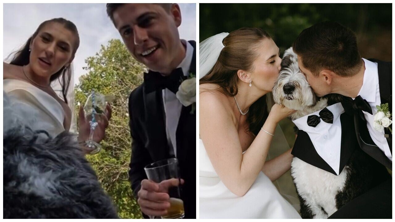 愛犬當婚禮攝影師，狗狗視角拍下最動人畫面。(IG)