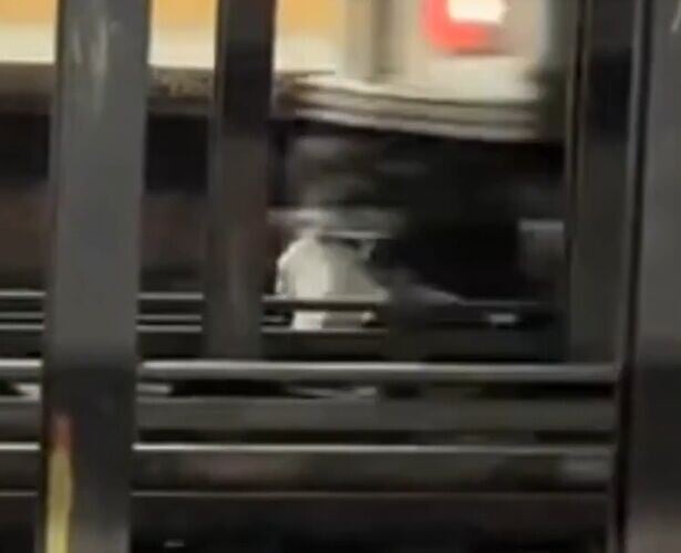 他們隨後遭一輛南向行駛的列車撞到,急救人員當場宣布兩人死亡。(X)