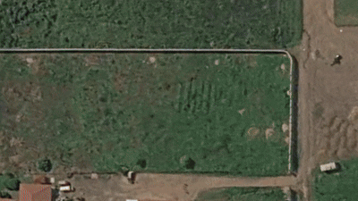 MSF377080 gif