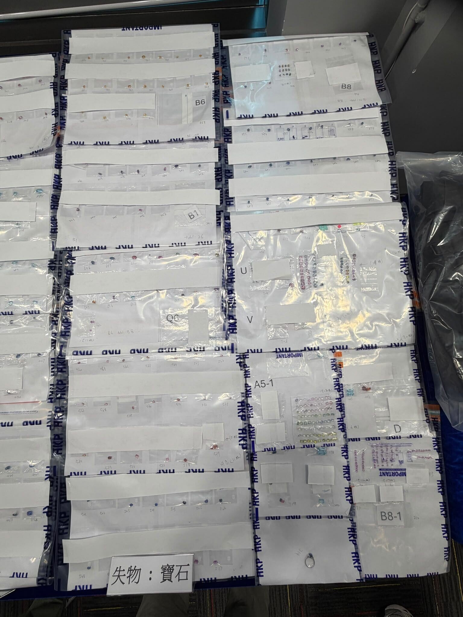 斯里蘭卡參展商酒店被盜百萬元珠寶,警6小時內閃電拘北非漢。
