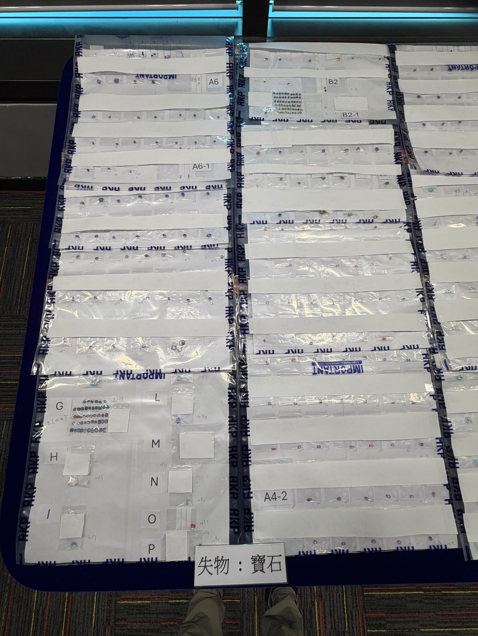 斯里蘭卡參展商酒店被盜百萬元珠寶,警6小時內閃電拘北非漢。