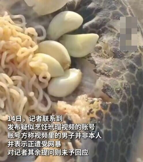 男子將玳瑁烹飪食用,引起很多潛水愛好者的憤慨。(微博)