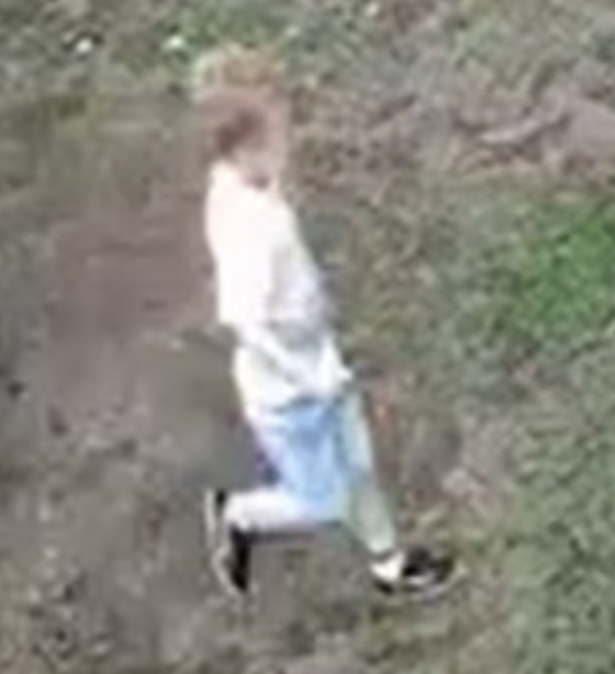 警方發布伍茲在遊樂場玩耍片段。(互聯網)