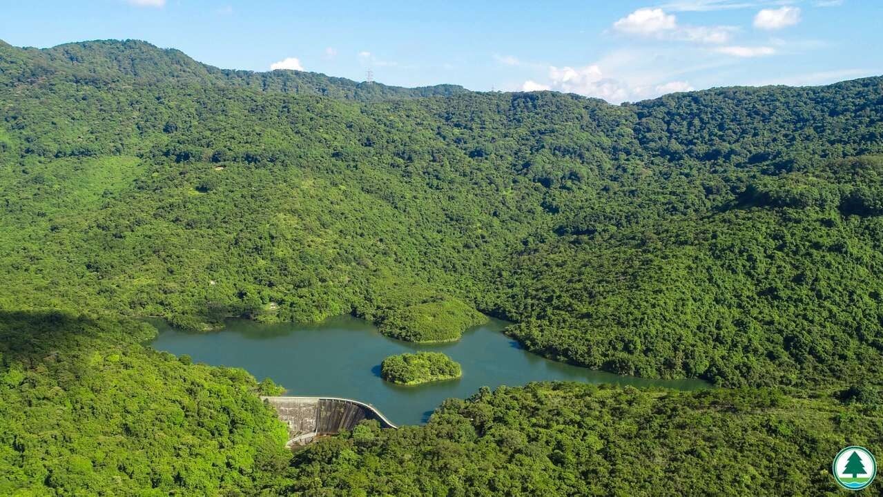 可乘搭公共交通工具前往河背村,由河背村步行約30分鐘前往河背水塘。(漁護署)