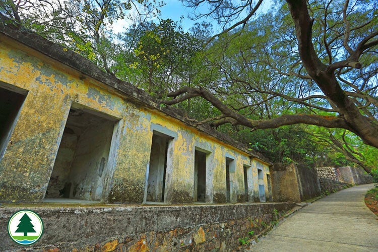 龍虎山四通八達,行山路線可長可短(漁護署)