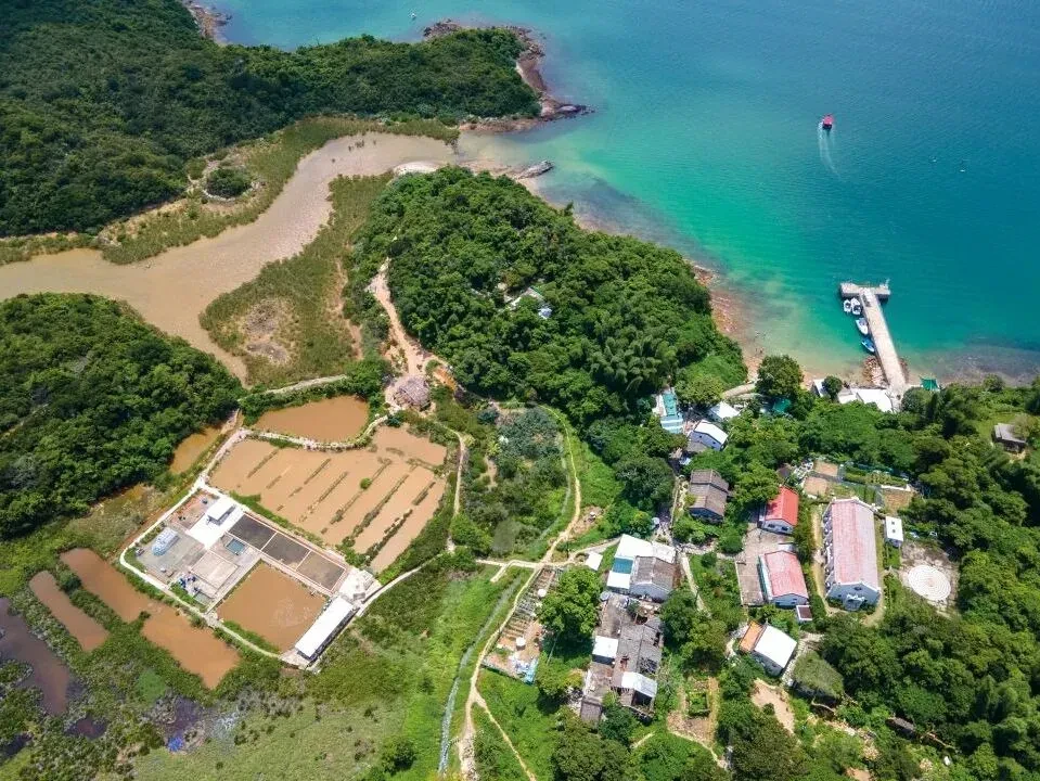 在鹽田梓,你可參觀獲得聯合國教科文組織獎項的天然鹽田和探索當地藝術及文化(旅發局)
