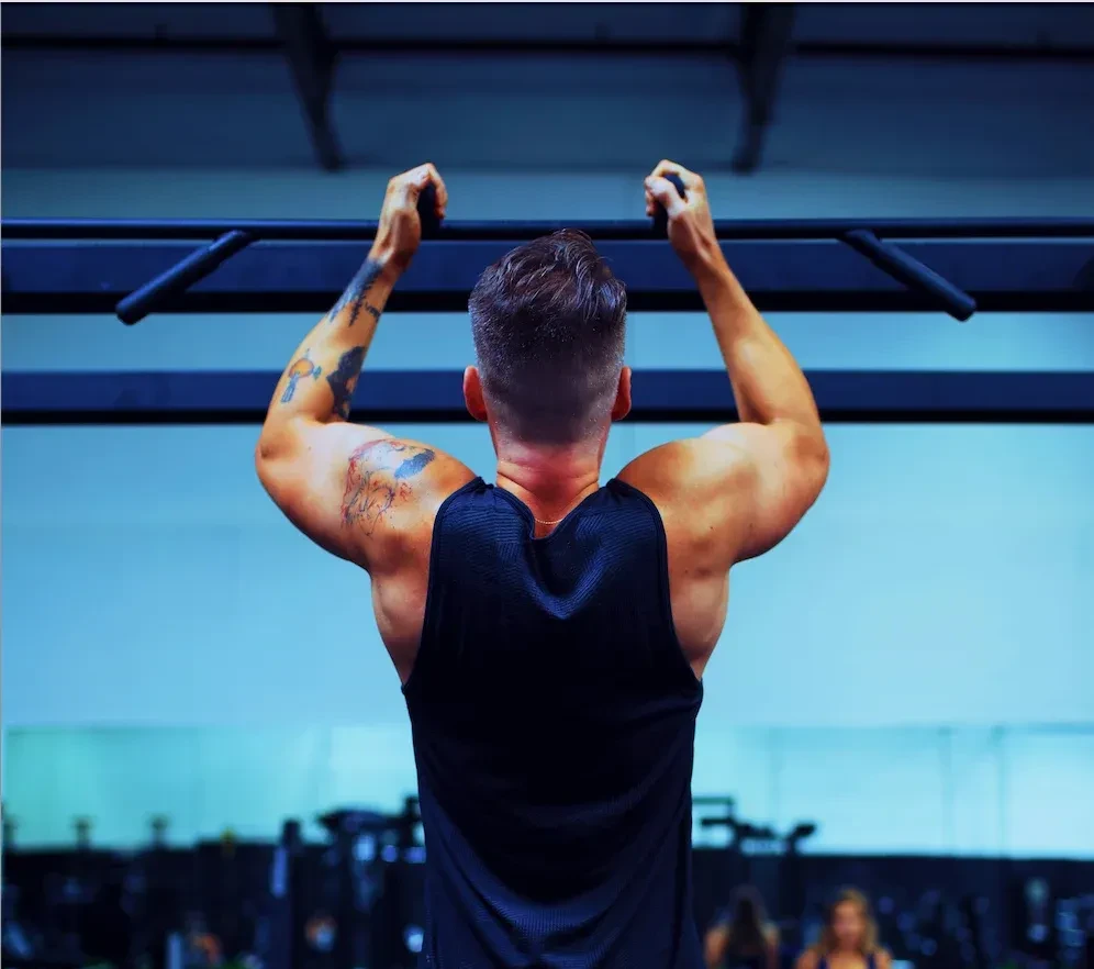 中立握法引體向上(Neutral Grip Pull-Up)