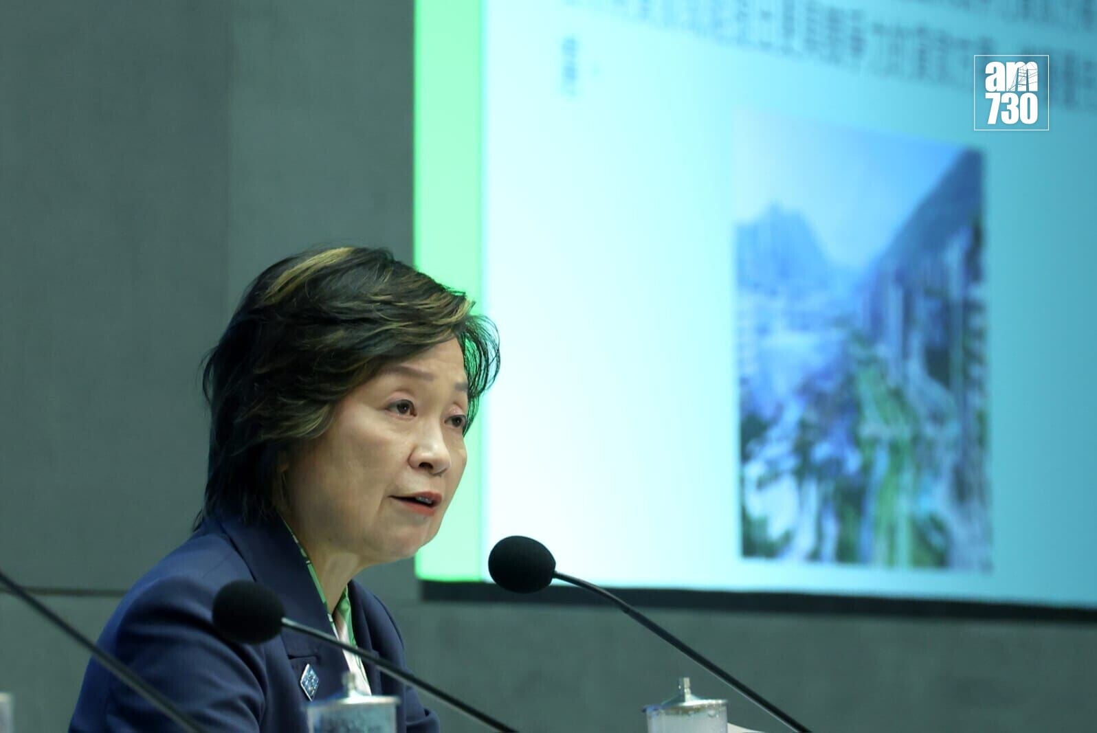 蔡若蓮介紹洪水橋大學城3幅用地的細節。(周令知攝)
