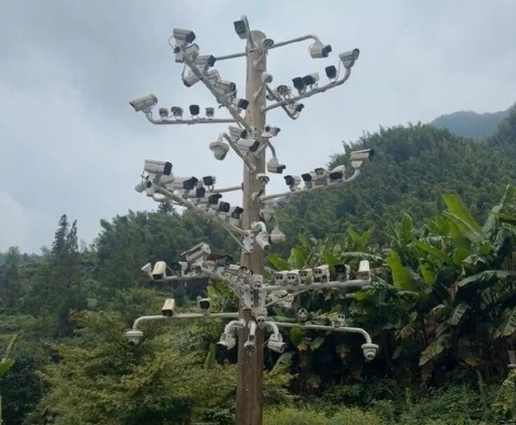 木桿上密密麻麻裝滿監視器鏡頭。（圖／翻攝新浪微博）