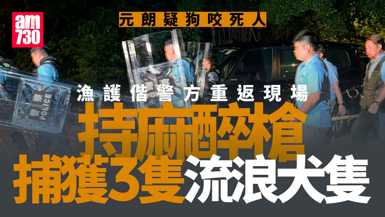 元朗疑狗咬死人｜漁護偕警方晚上持麻醉槍大搜捕 捕捉3隻流浪犬隻