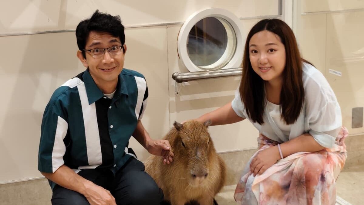 兩位臥底到到商場室內動物園尋找可愛名物水豚君