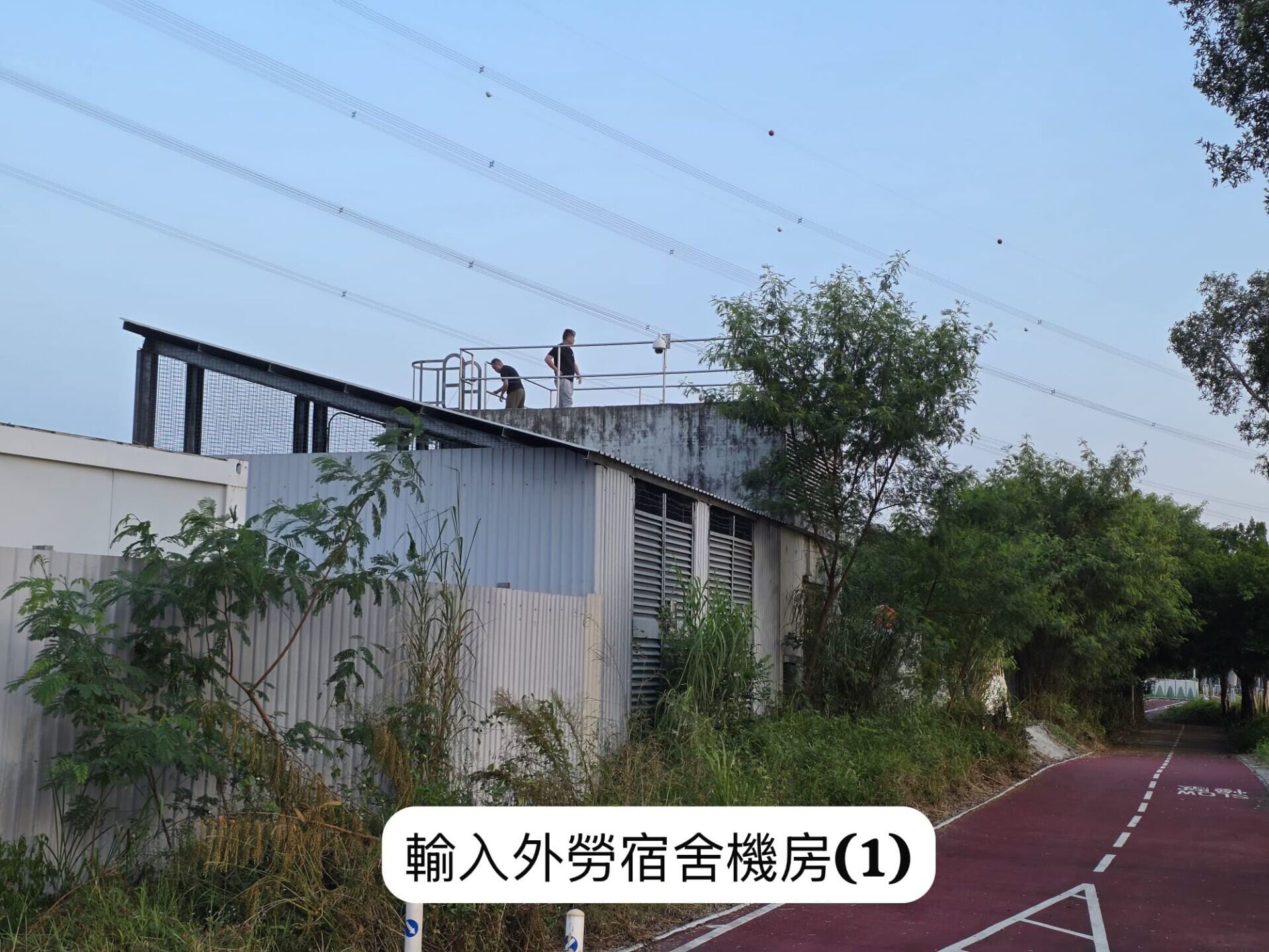 元朗疑狗咬死人,現場已加裝4組臨時閉路電視,以追查流浪狗蹤跡。
