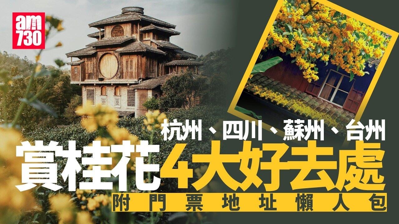 杭州滿覺隴、四川青羊宮等 中國4個最有秋意賞桂花好去處