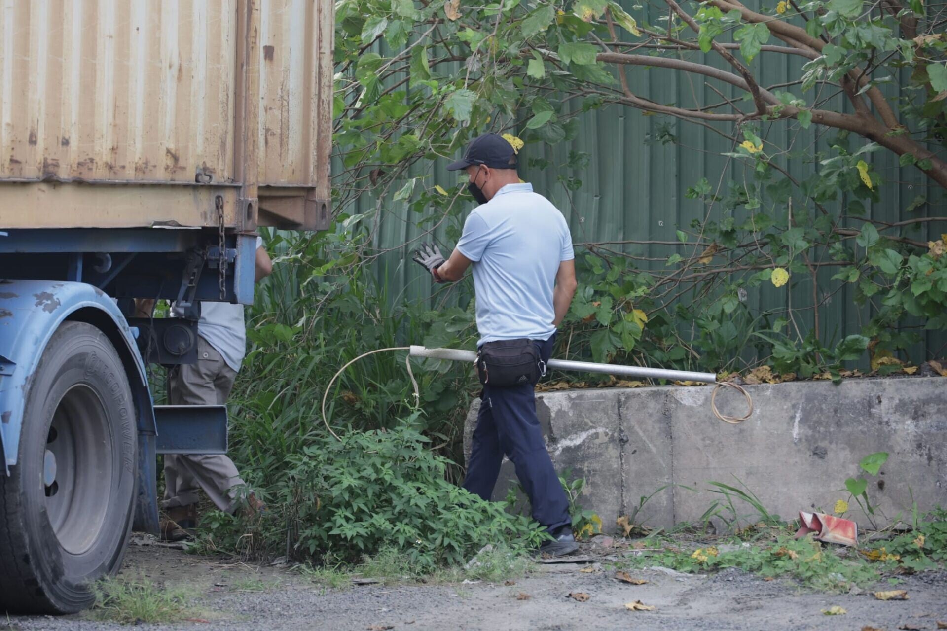 漁護署聯同警方今日下午再到元朗壆圍南路一帶捕捉流浪狗(鍾式明攝)