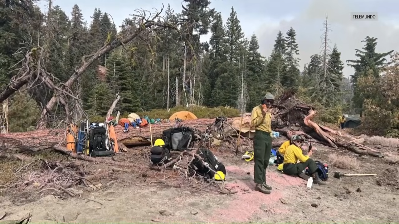 Greg King identified after fatal Yosemite helicopter crash 0 20 screenshot