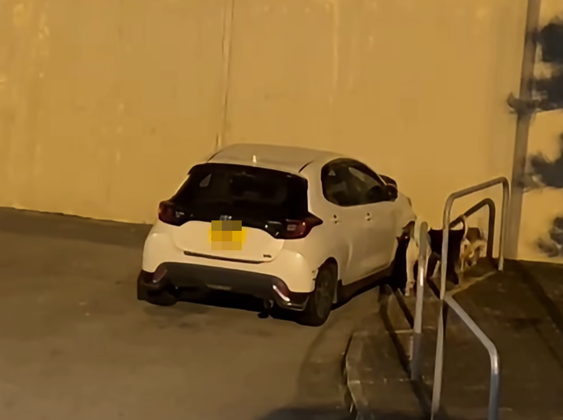 屯門4犬「拆車」扯甩車頭泵把,遇警車火速逃離現場。(香港突發事故報料區及討論區)