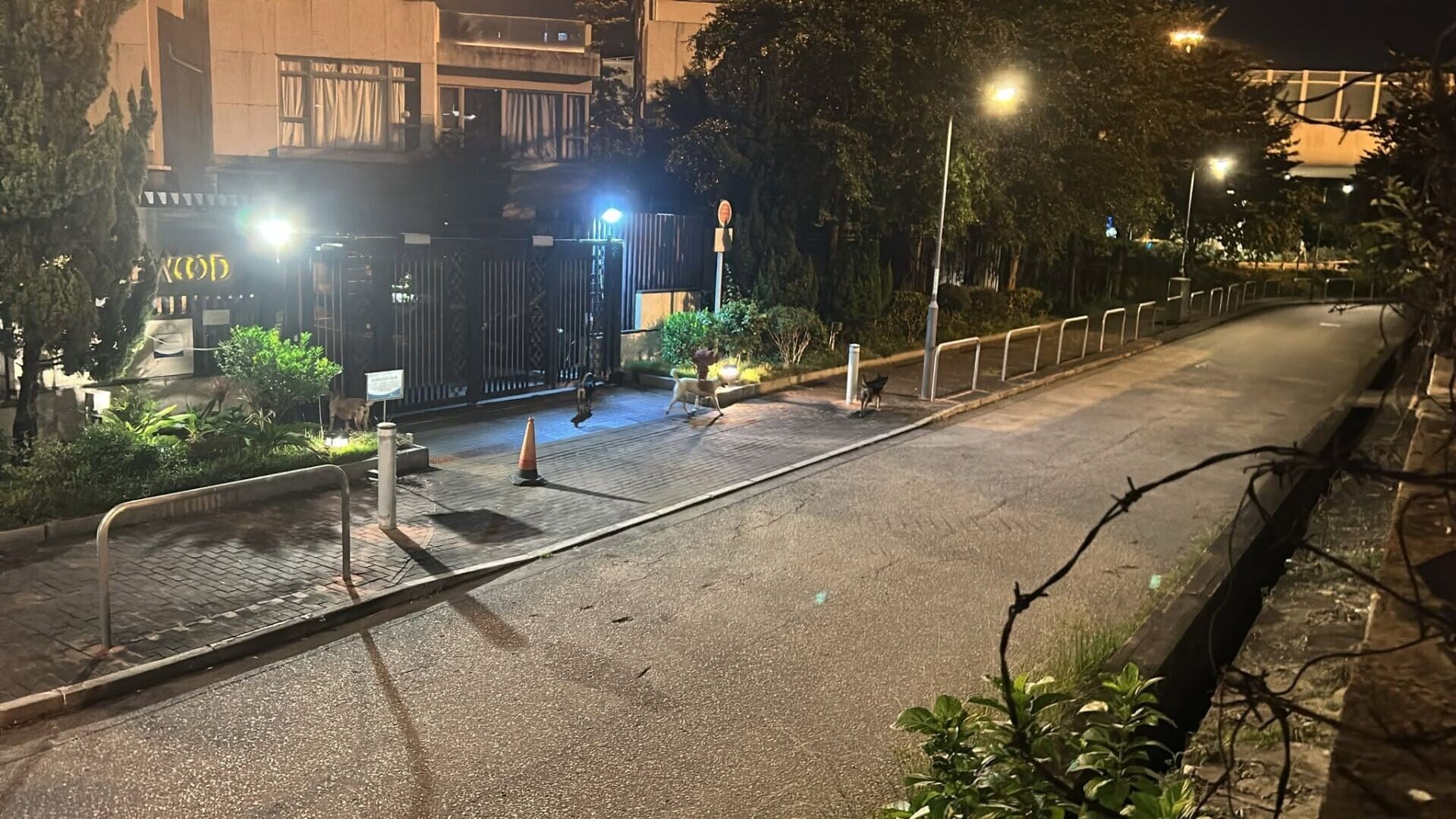 屯門4犬「拆車」扯甩車頭泵把,遇警車火速逃離現場。(香港突發事故報料區及討論區)