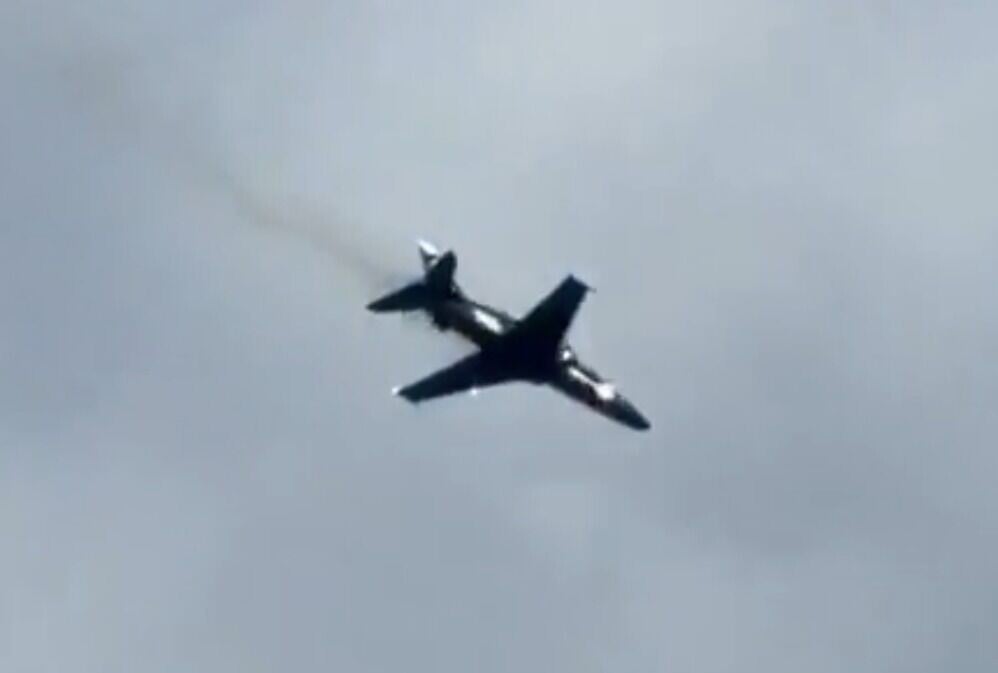 Hawk (4)