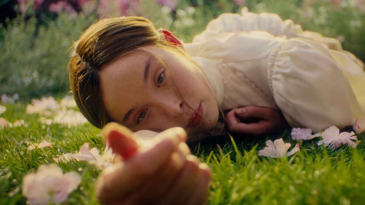Stills (6)