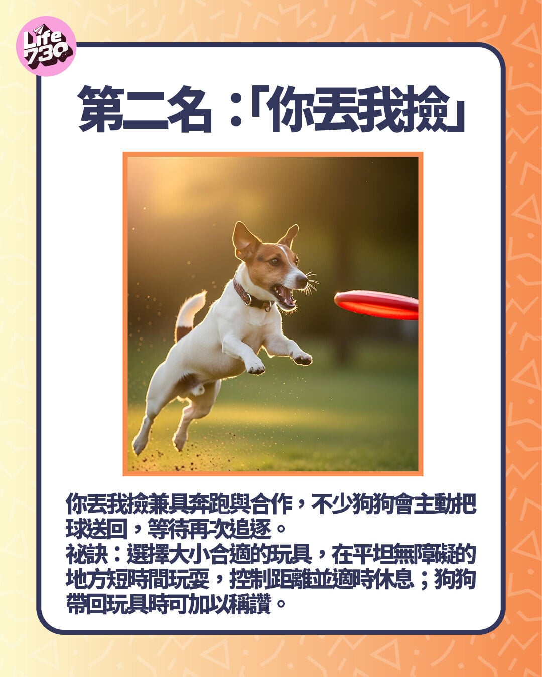 第二名:「你丟我撿」