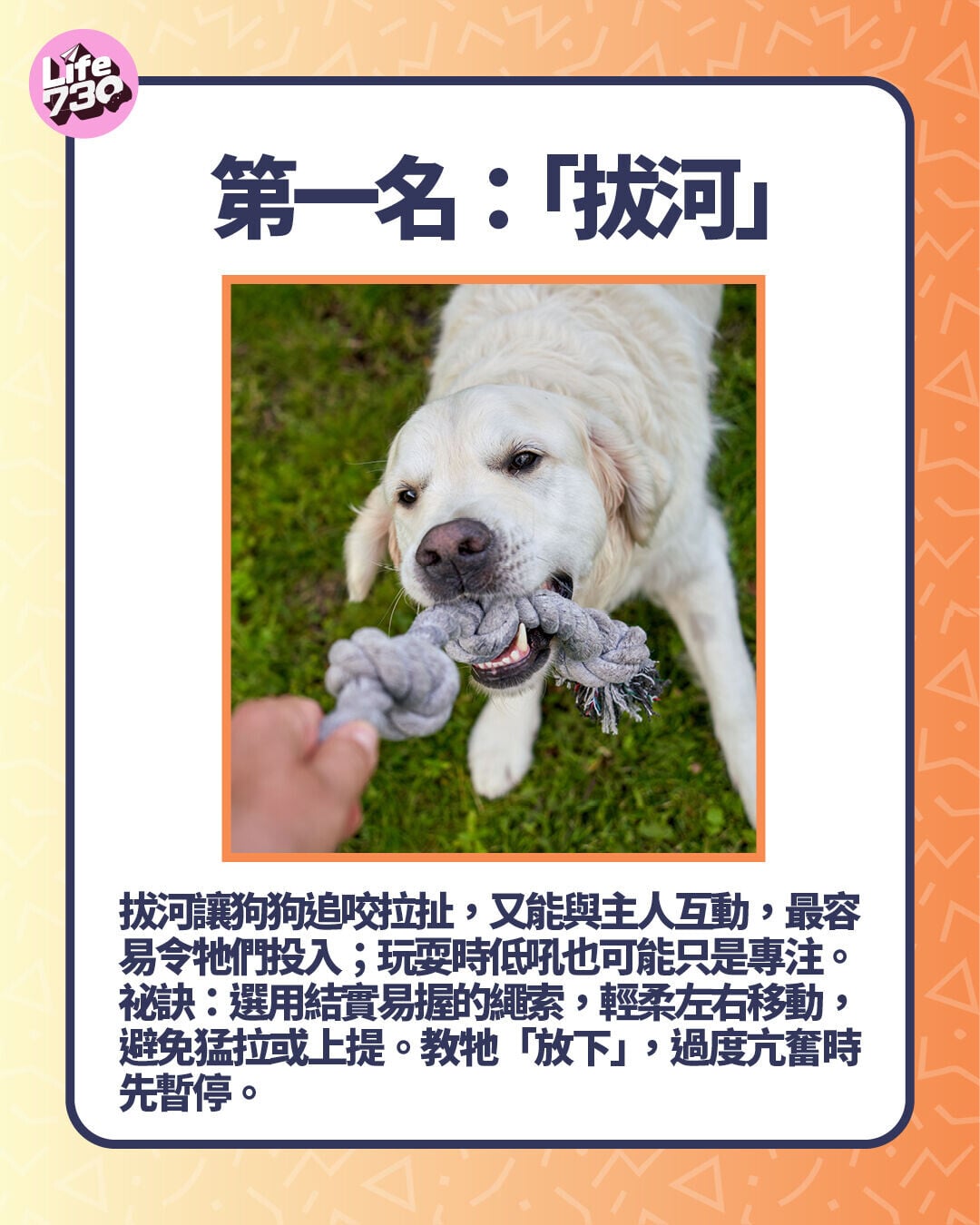 第一名: 「拔河」
